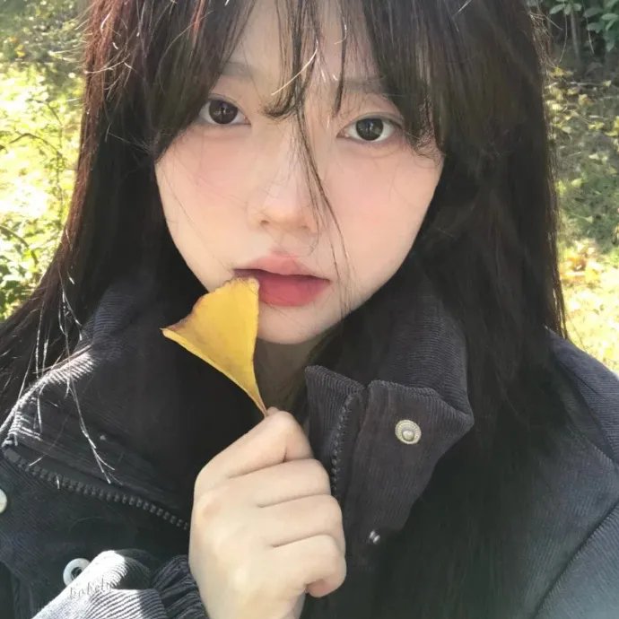 青春逍遥游